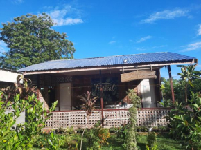 Panglao Budget Homestay